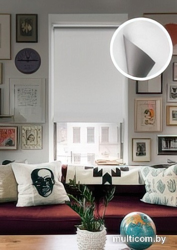 Рулонные шторы Эскар Вlackout 57х170 814650571601 (белый)