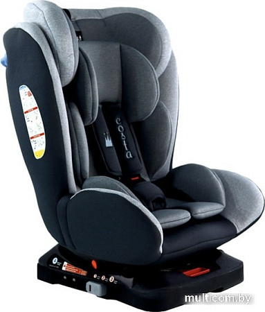 Детское автокресло Costa CS-002 Isofix YB104A (серый/темно-серый)