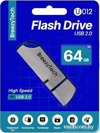USB Flash BreezyTech U012 64GB (серебристый/синий)