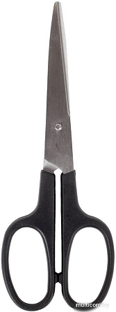 BRAUBERG Standard 237095