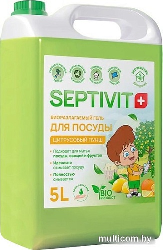 Septivit Цитрусовый пунш (5 л)