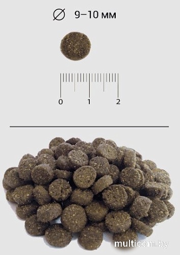 Blitz Pets Sensitive Adult Small Breeds Lamb & Rice 4205 (500 г)