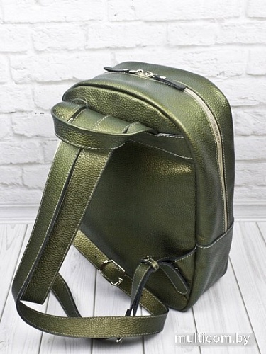 Городской рюкзак Carlo Gattini Premium Albiate 3103-59 (золотой киви)