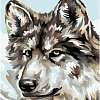 Картина по номерам Wizardi Серый волк MINI036