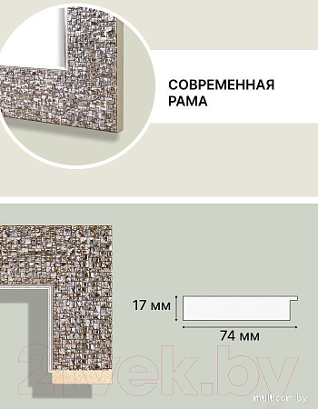 Фоторамка Декарт 50x50 8Л3501 (серебристый с перламутром)