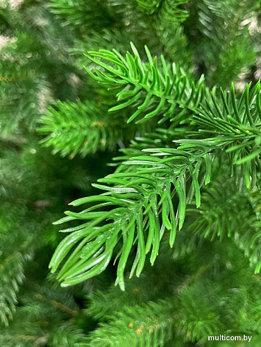 Ель GreenTerra Астерия Премиум 3D 2.1 м