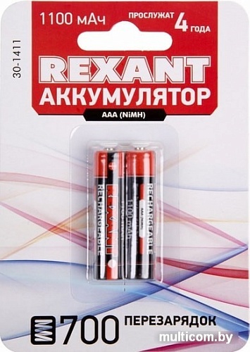 Аккумуляторы Rexant AAA 1100mAh 2шт 30-1411