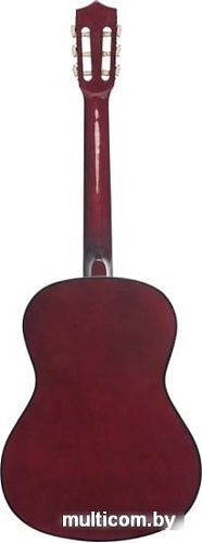 Акустическая гитара Terris TC-3801A NA