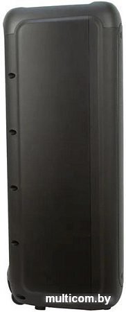 Колонка для вечеринок Eltronic 20-03 Wave 800