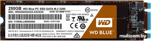 SSD WD Blue M.2 2280 250GB [WDS250G1B0B]