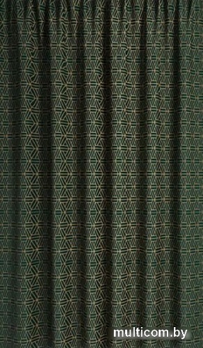 Шторка-занавеска для ванны IDDIS Base BG06P24i11