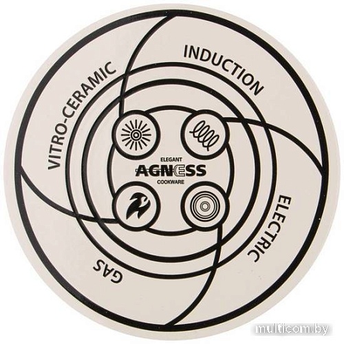 Чайник без свистка Agness Корейская роза 934-397