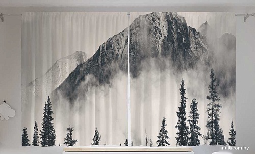 JoyArty Лесная дымка p_22018 (145x180)