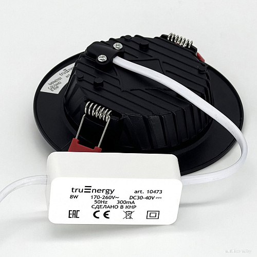 Точечный светильник TruEnergy 8W 4000К 10473 (черный)