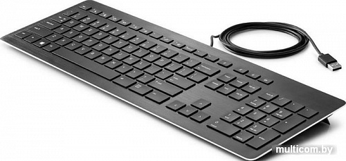 Клавиатура HP USB Premium Keyboard
