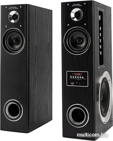 Акустика GMNG GG-SP600AC
