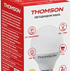 Светодиодная лампочка Thomson Globe TH-B2033