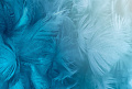 Фотообои Vimala Перья 20 270x400