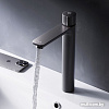 Смеситель AM.PM X-Joy F85A92522 (черный)
