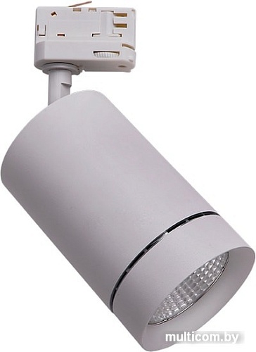 Трековый светильник Lightstar Canno 303594