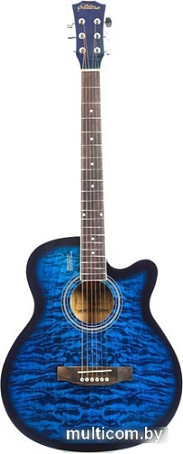 Акустическая гитара Elitaro E4030 BLS