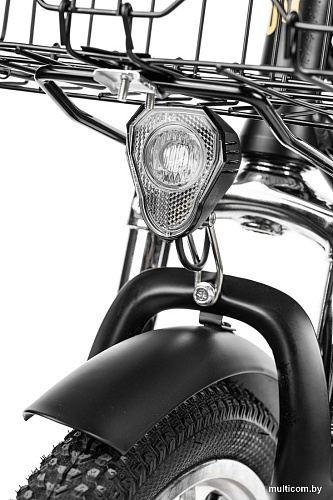 Электровелосипед MyWay Truck 1.0 350 20 (15, черный)