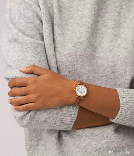 Наручные часы Fossil ES5297