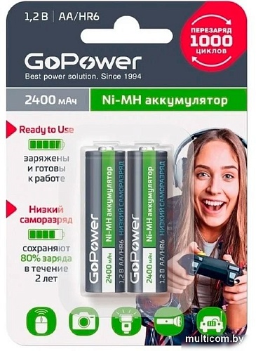 Аккумулятор GoPower 00-00018320