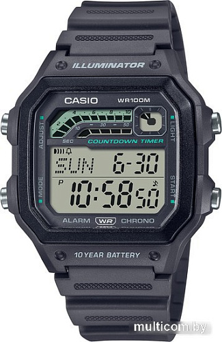Наручные часы Casio Standard WS-1600H-8A