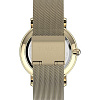 Наручные часы Timex Transcend TW2V52300