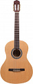 Акустическая гитара Aileen AC965H