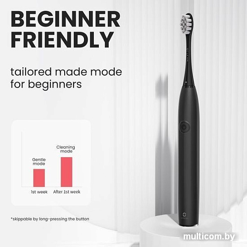 Электрическая зубная щетка Oclean Endurance Electric Toothbrush (черный)