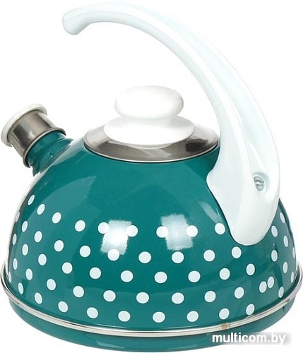 Чайник со свистком Сила Дон T04/25/06/27/H03