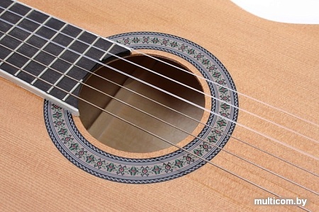 Акустическая гитара Aileen AC965H