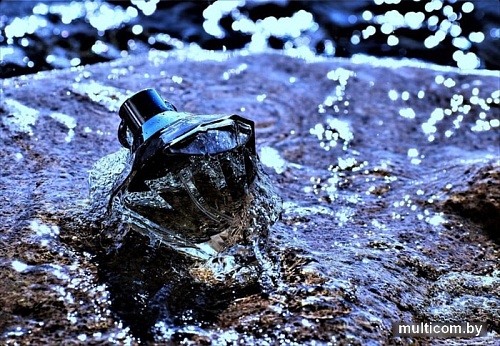 Chopard Wish EdP (75 мл)