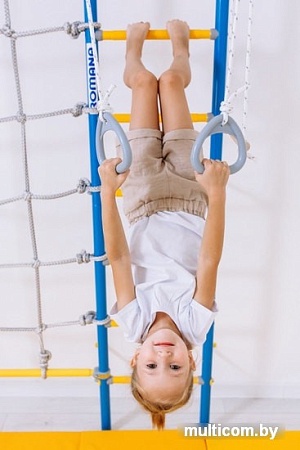 Детский спортивный комплекс Romana S7 01.31.7.06.410.05.00-68 (сиреневый/голубой)