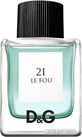 Туалетная вода Dolce&Gabbana №21 Le Fou EdT (100 мл)