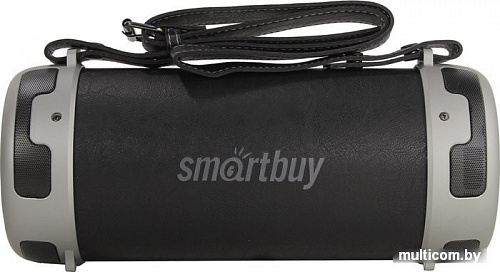 Беспроводная колонка SmartBuy Stinger SBS-101