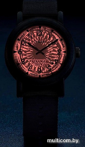 Наручные часы Timex Camper Stranger Things TW2V50800