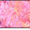 Телевизор Samsung QLED 4K Q60C QE85Q60CAUXCE