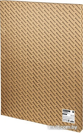 Пенокартон BRAUBERG матовая 70x100 620 г/м2 5 л 112476
