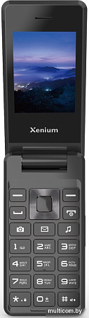 Кнопочный телефон Xenium X600 (темно-серый)