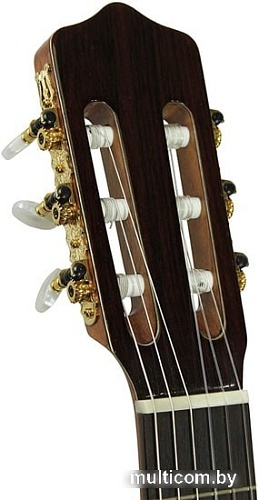 Акустическая гитара Kremona Rosa Morena