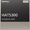 Жесткий диск Synology HAT5300 12TB HAT5300-12T