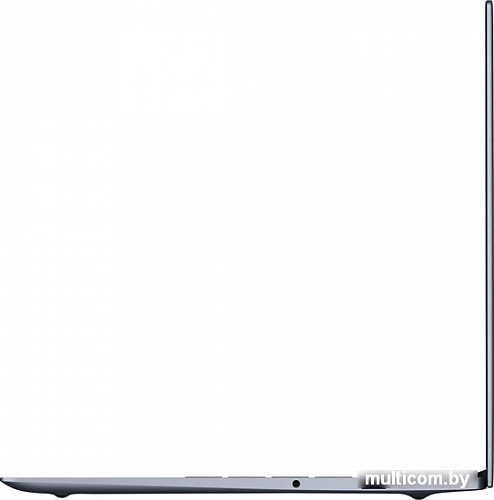 Ноутбук HONOR MagicBook X15 BBR-WAH9 5301AAPN