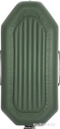 Моторно-гребная лодка Тонар Шкипер А280НТ (зеленый)