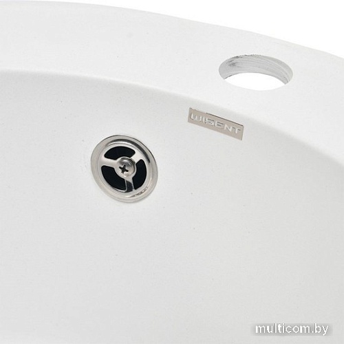 Кухонная мойка Wisent 480-28WR (с сифоном GER013)