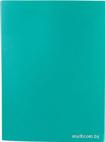 Папка для бумаг Lite NP0145-20BG с файлами