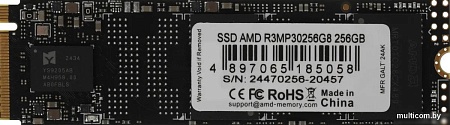 SSD AMD Radeon R3 256GB R3MP30256G8