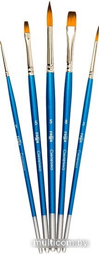 Набор кистей Гамма Синтетика 280618.09.06 (5 шт)